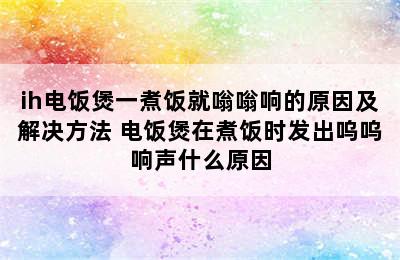 ih电饭煲一煮饭就嗡嗡响的原因及解决方法 电饭煲在煮饭时发出呜呜响声什么原因